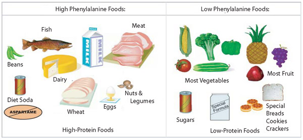 Alimentação adequada para Fenilcetonúria ou Phenylketonuria (PKU)